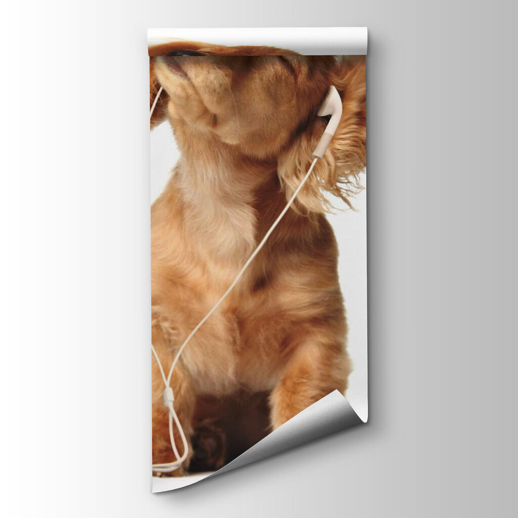 Dog with earphones on Dog with earphones on