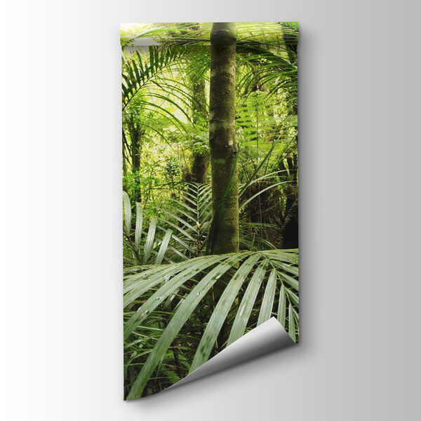 Green forest with palm trees