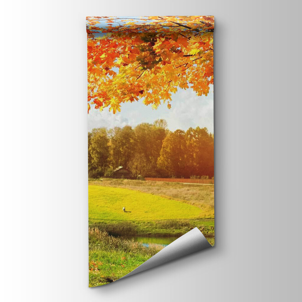 Tree with orange leaves in a field