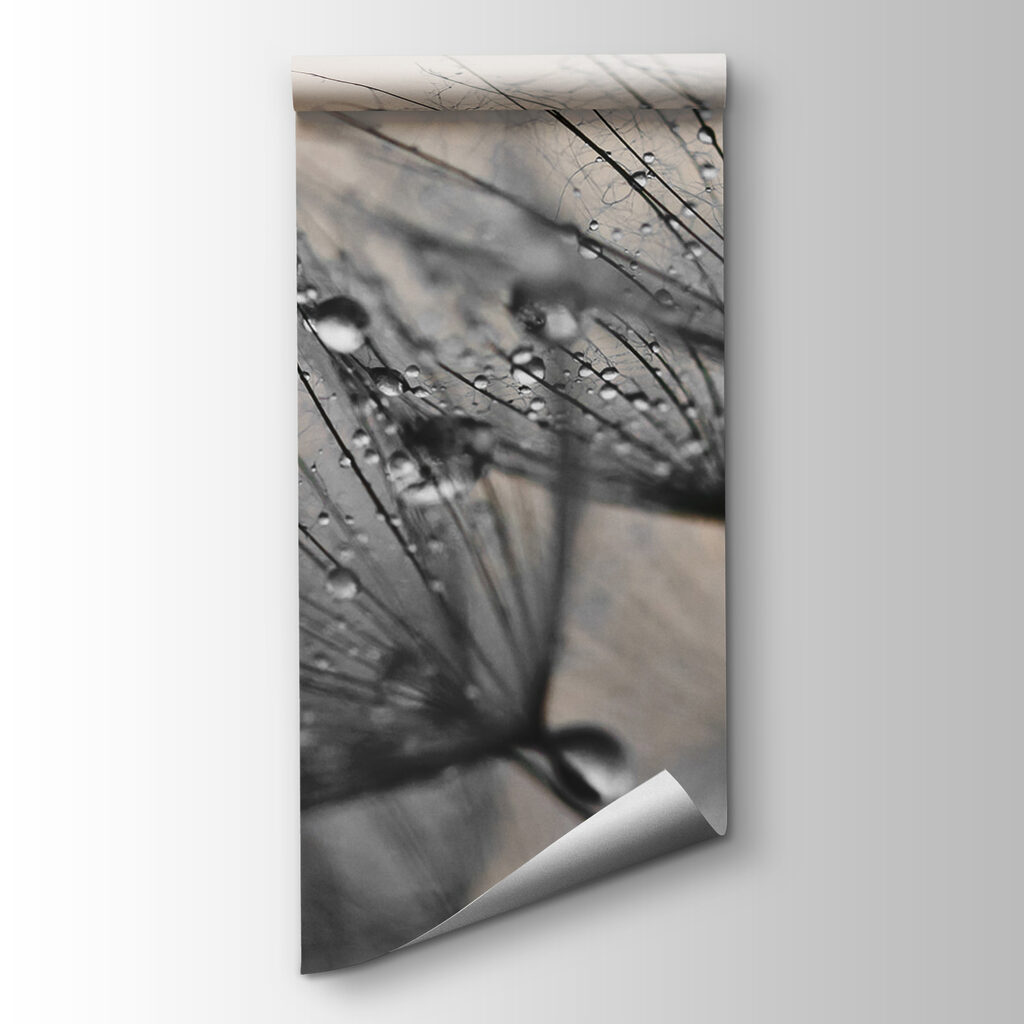 Delicate droplets on fragile petals