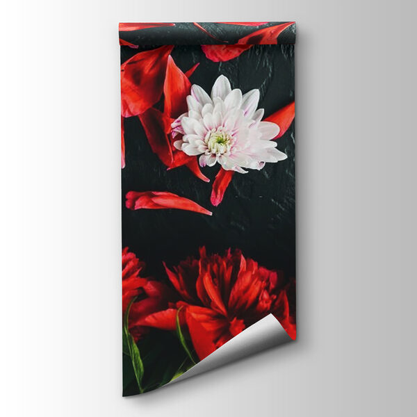 Group of red flowers with petals on a black surface Group of red flowers with petals on a black surface