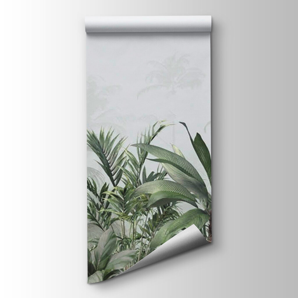 Group of plants in a foggy forest