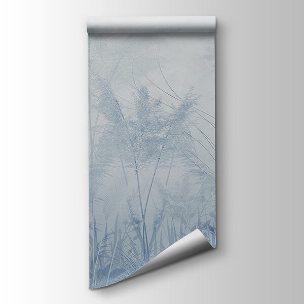 A field of grass and flowers A field of grass and flowers