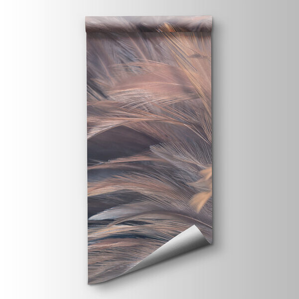 Soft and delicate feather textures