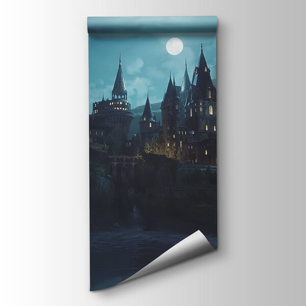 Castle on a hill with a moon in the sky