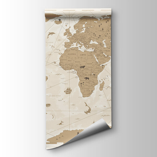 A map of the world A map of the world