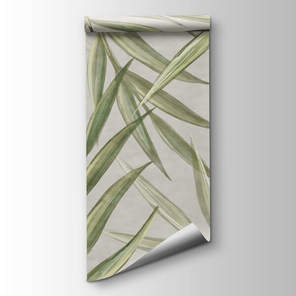 A close up of leaves