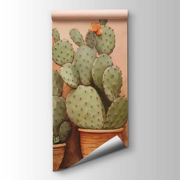 Group of cactus in pots