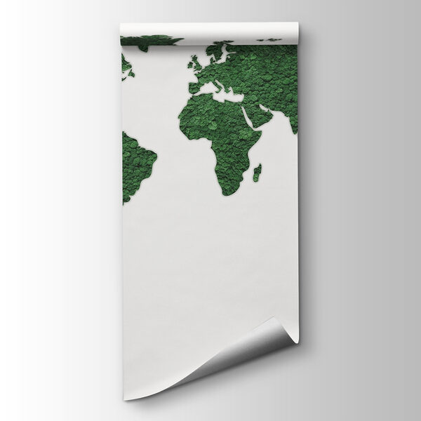 Map of the world