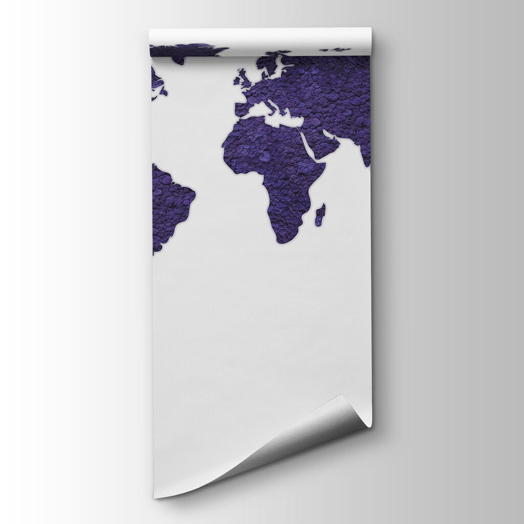 Map of the world Map of the world