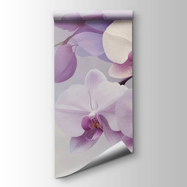 Delicate orchids in soft hues Delicate orchids in soft hues