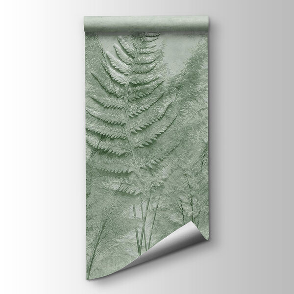 Fern fronds in a wall Fern fronds in a wall