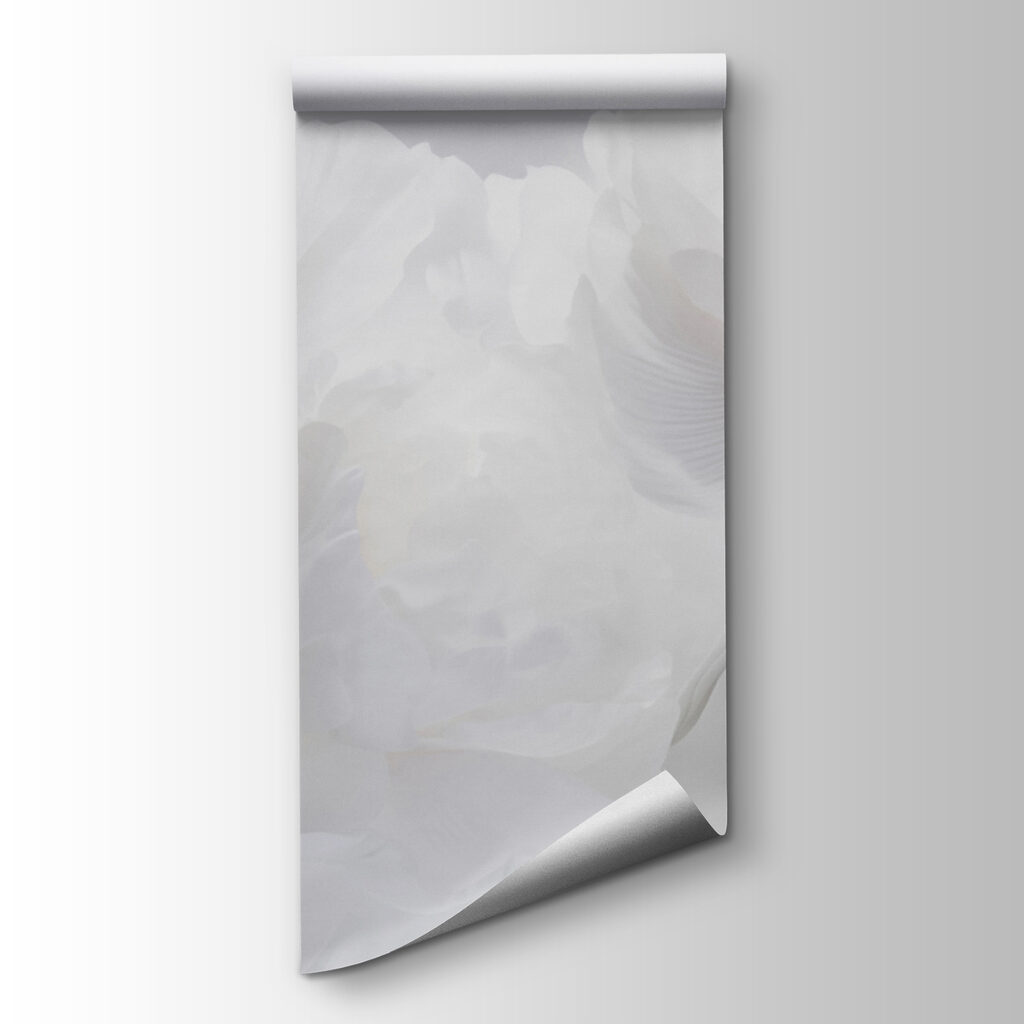 Group of white flowers Group of white flowers