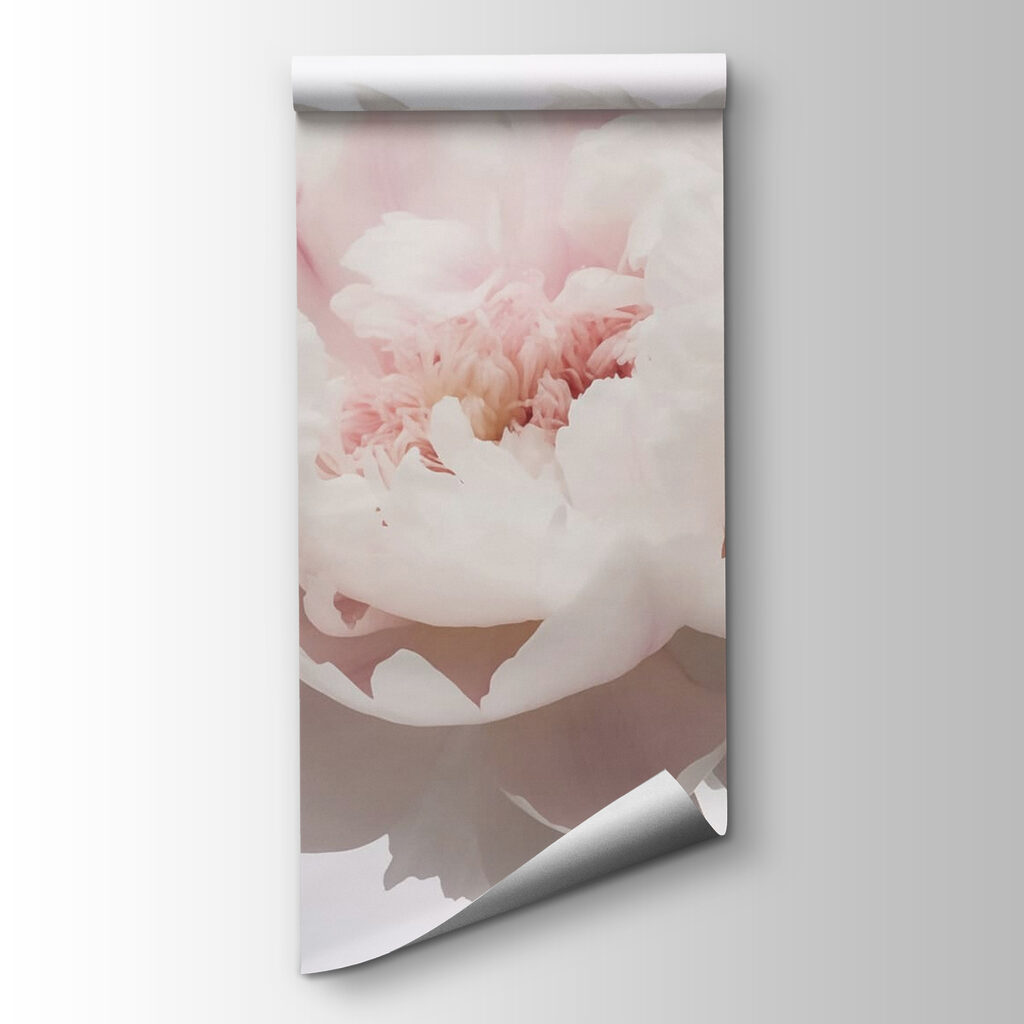 Delicate petals in soft bloom