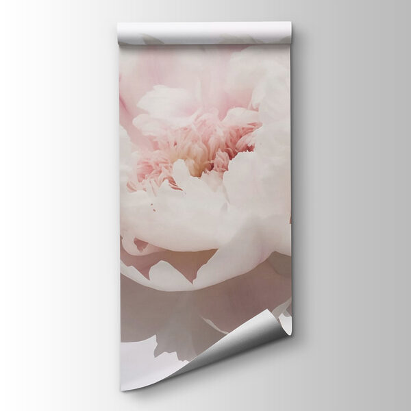 Delicate petals in soft bloom