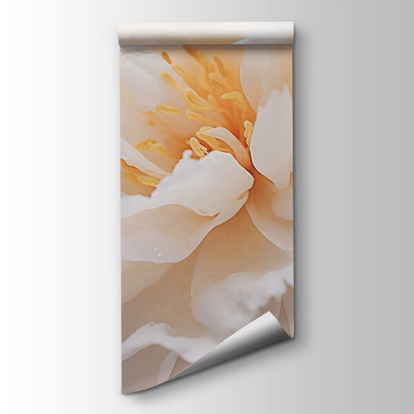 Delicate petals in soft hues Delicate petals in soft hues