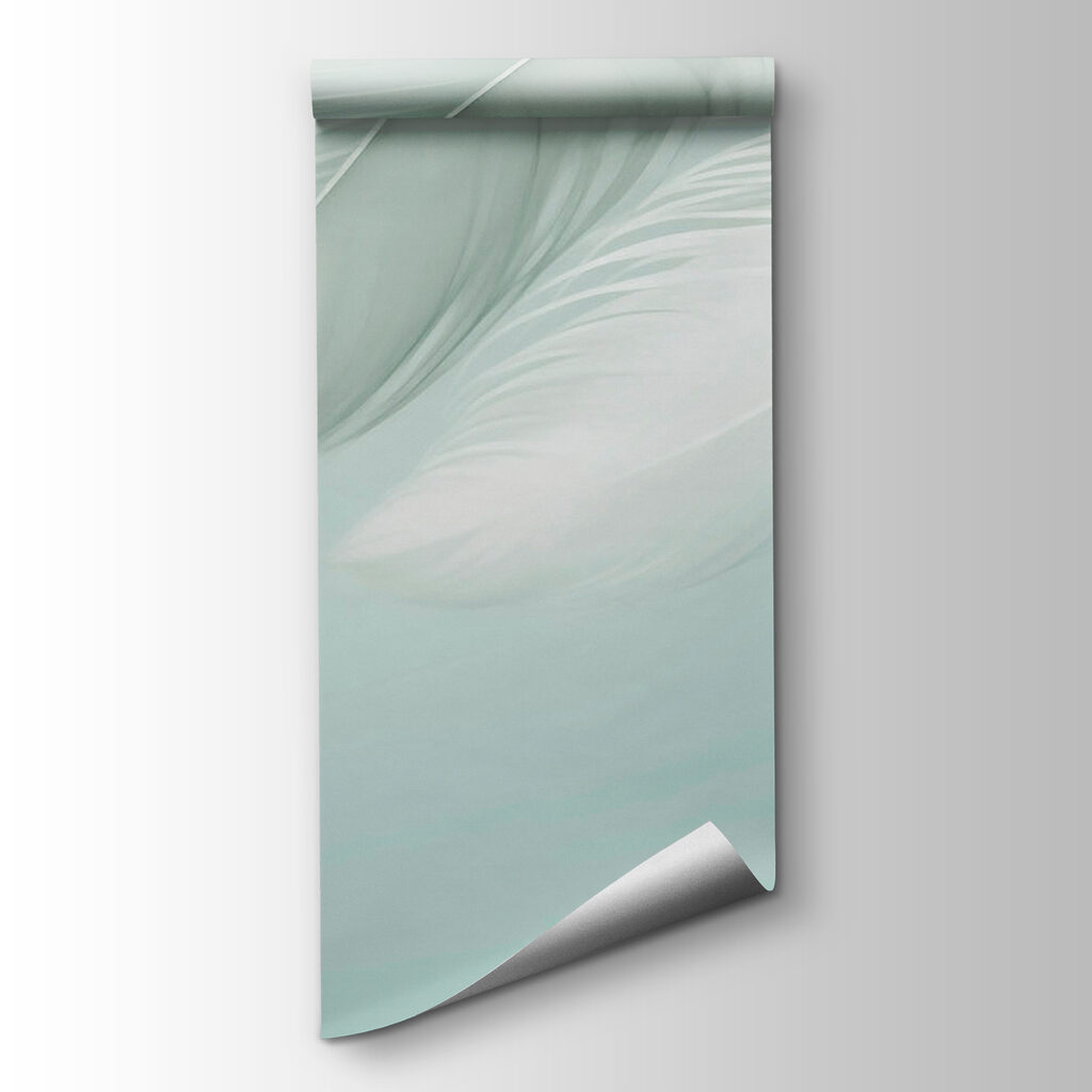 White feathers on a white background White feathers on a white background