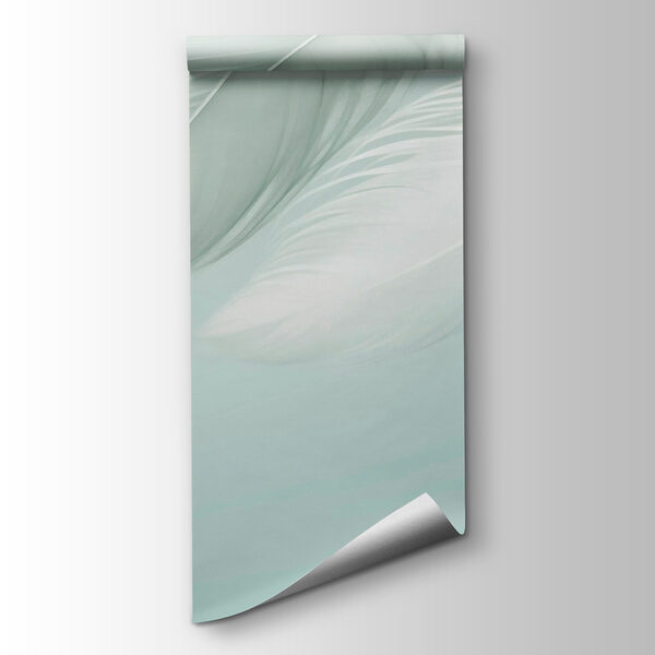 White feathers on a white background White feathers on a white background