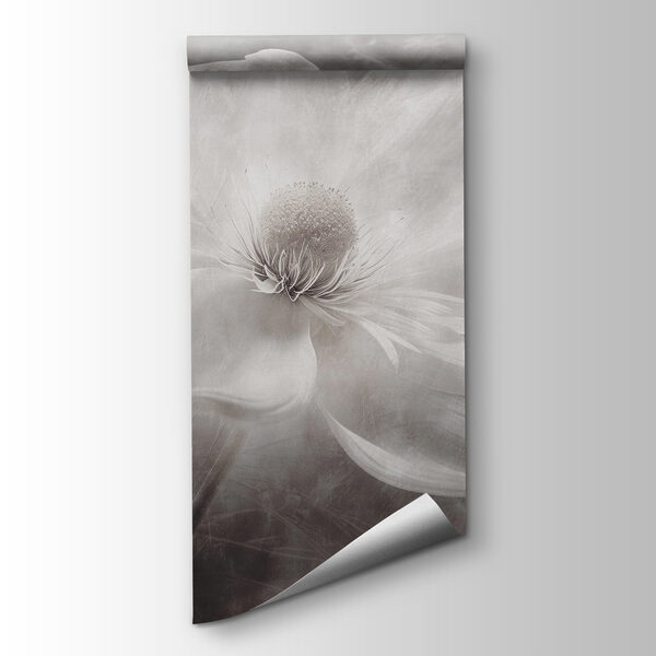 White flower with a black center