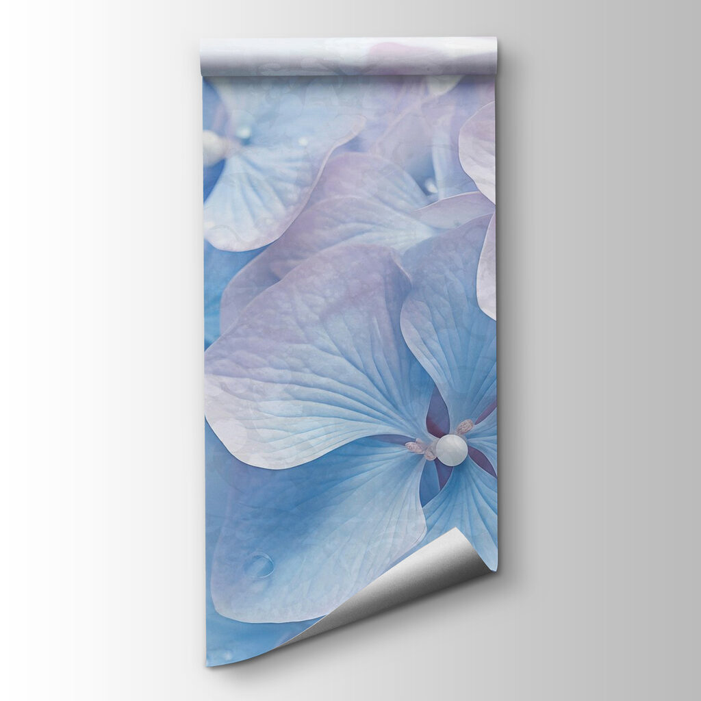 Delicate petals in soft hues Delicate petals in soft hues