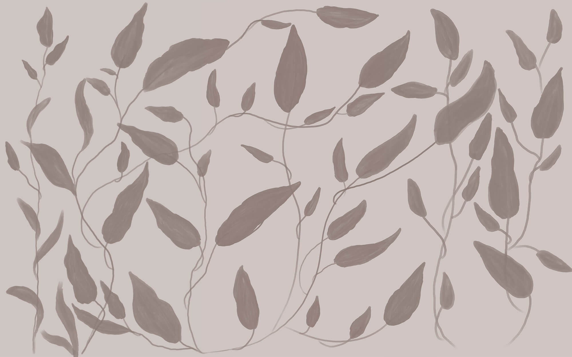 Drawing of leaves on a white background