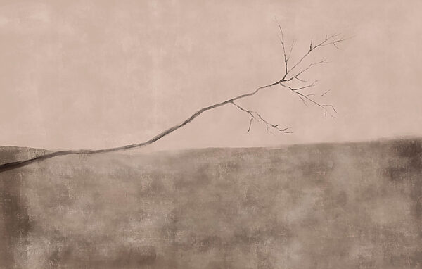 Tree branch in a field Tree branch in a field