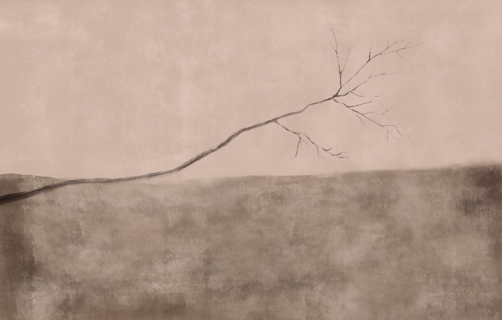 Tree branch in a field Tree branch in a field