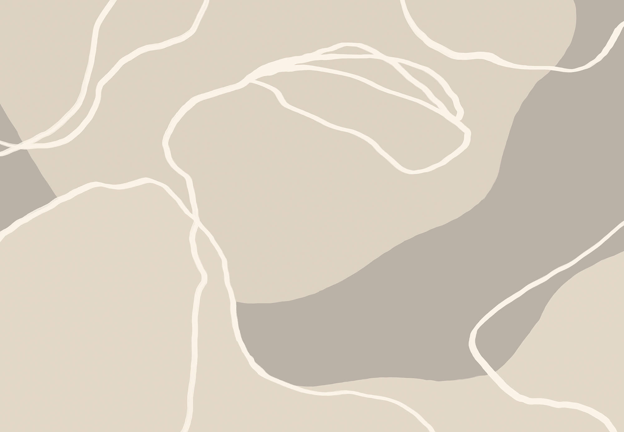 White lines on a beige background White lines on a beige background