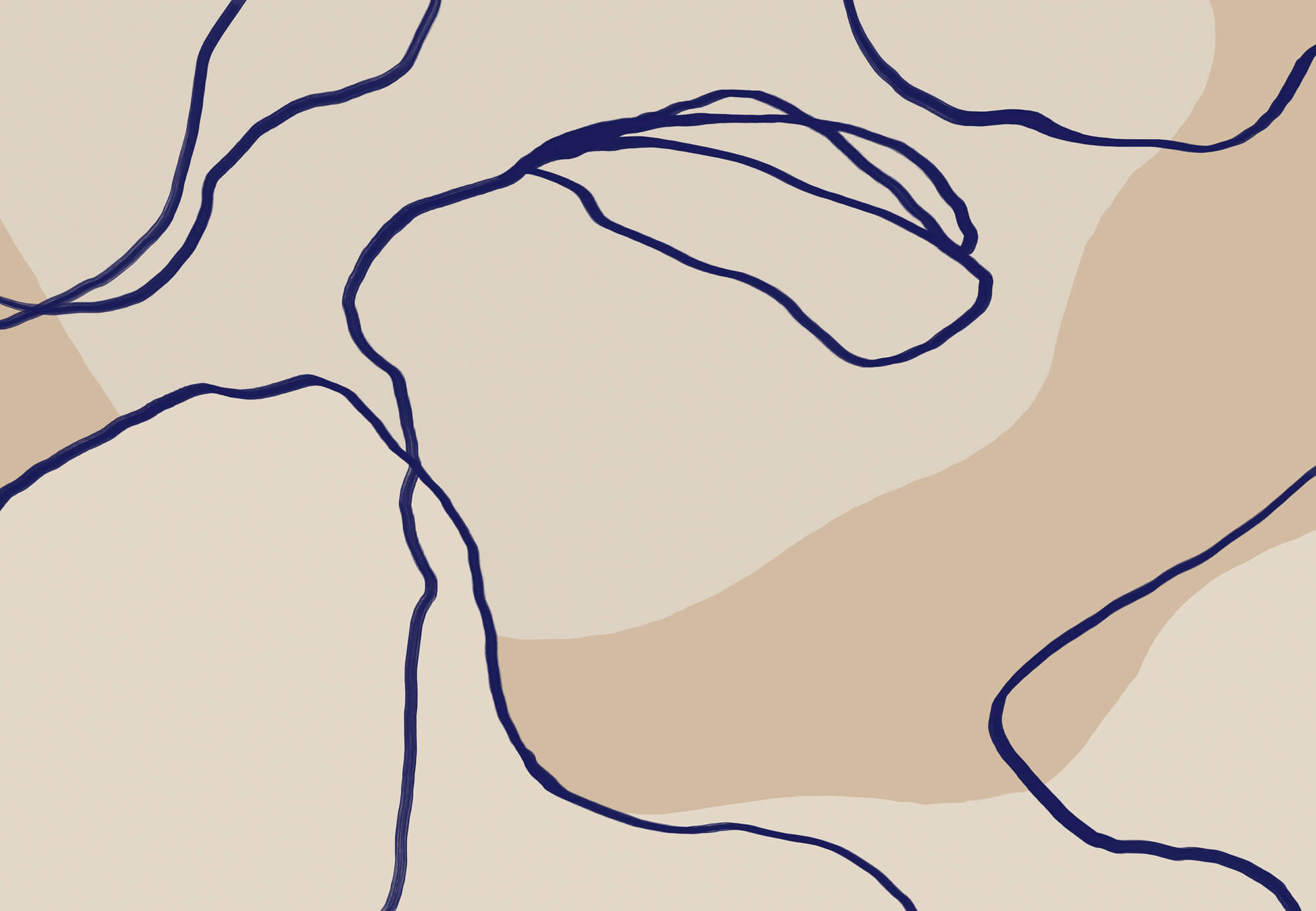 Flowing Lines on Soft Background Flowing Lines on Soft Background