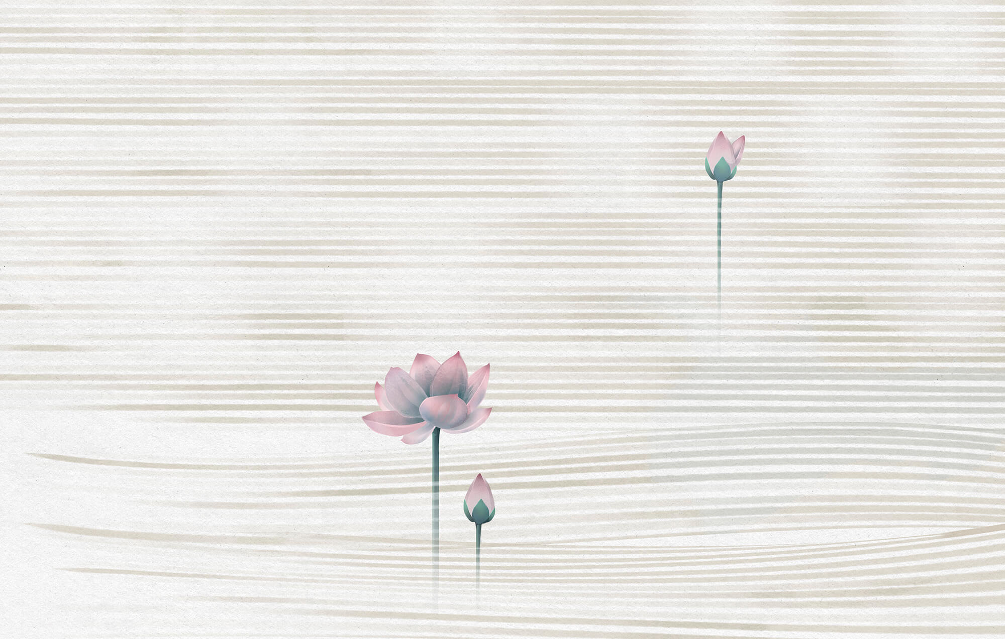 Serene blooms on gentle waves Serene blooms on gentle waves