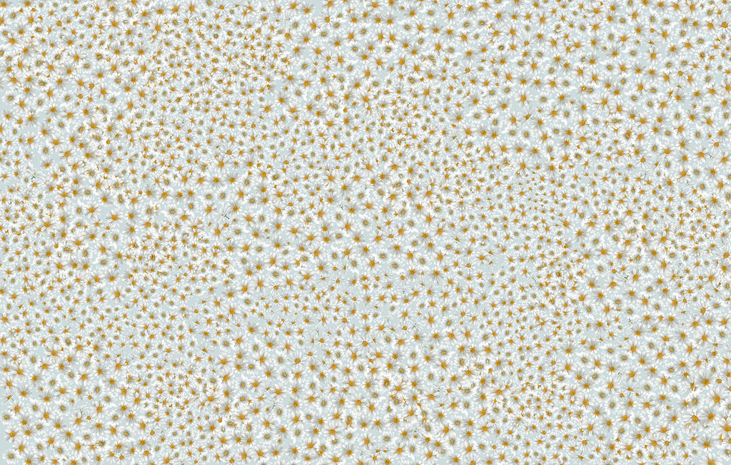 Pattern of small orange stars Pattern of small orange stars