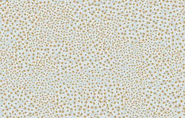 Pattern of small orange stars Pattern of small orange stars