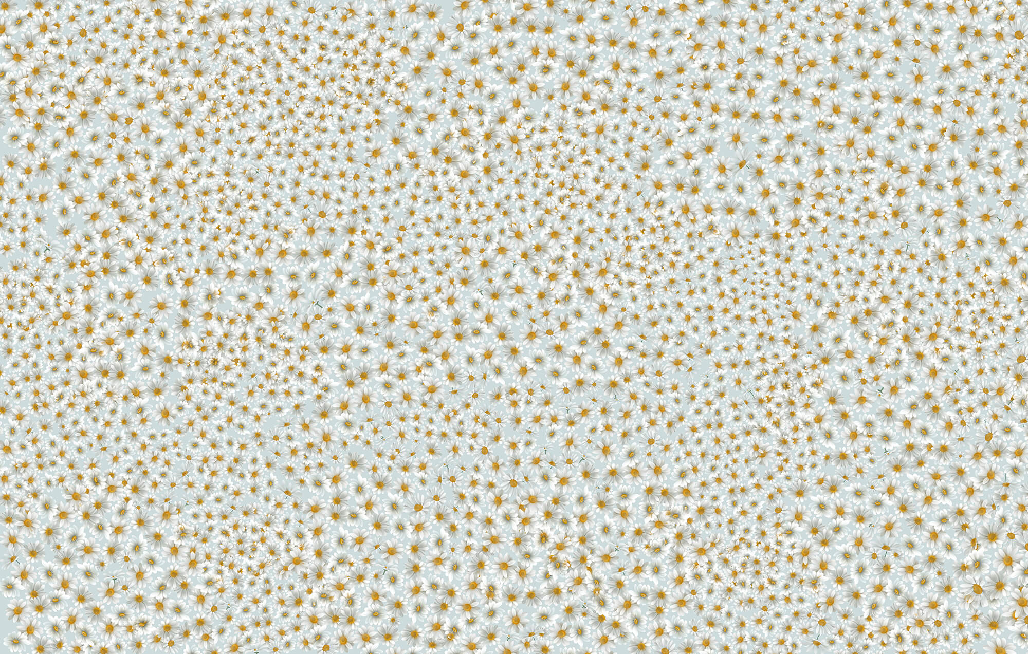 Pattern of small orange stars Pattern of small orange stars