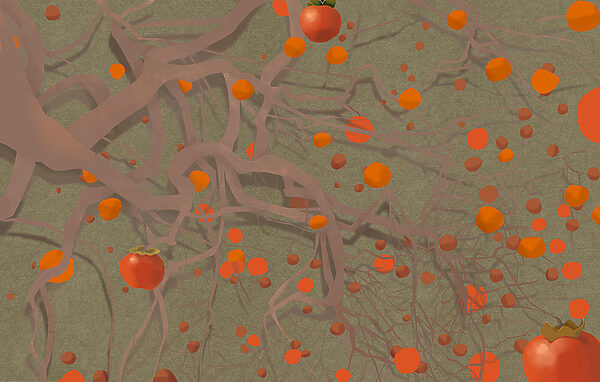 Tree with orange fruits Tree with orange fruits