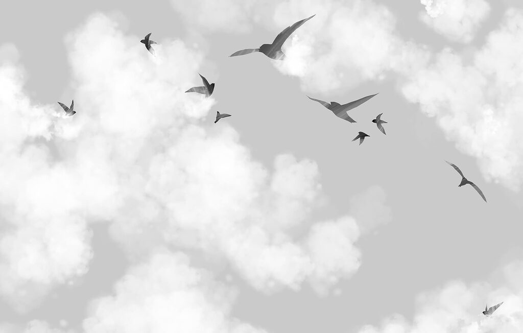 Birds flying birds in the sky Birds flying birds in the sky