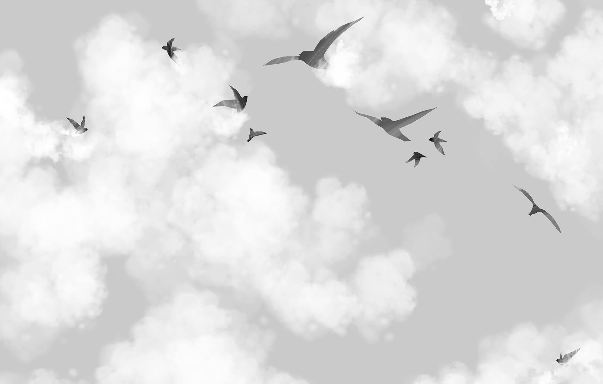 Birds flying birds in the sky Birds flying birds in the sky