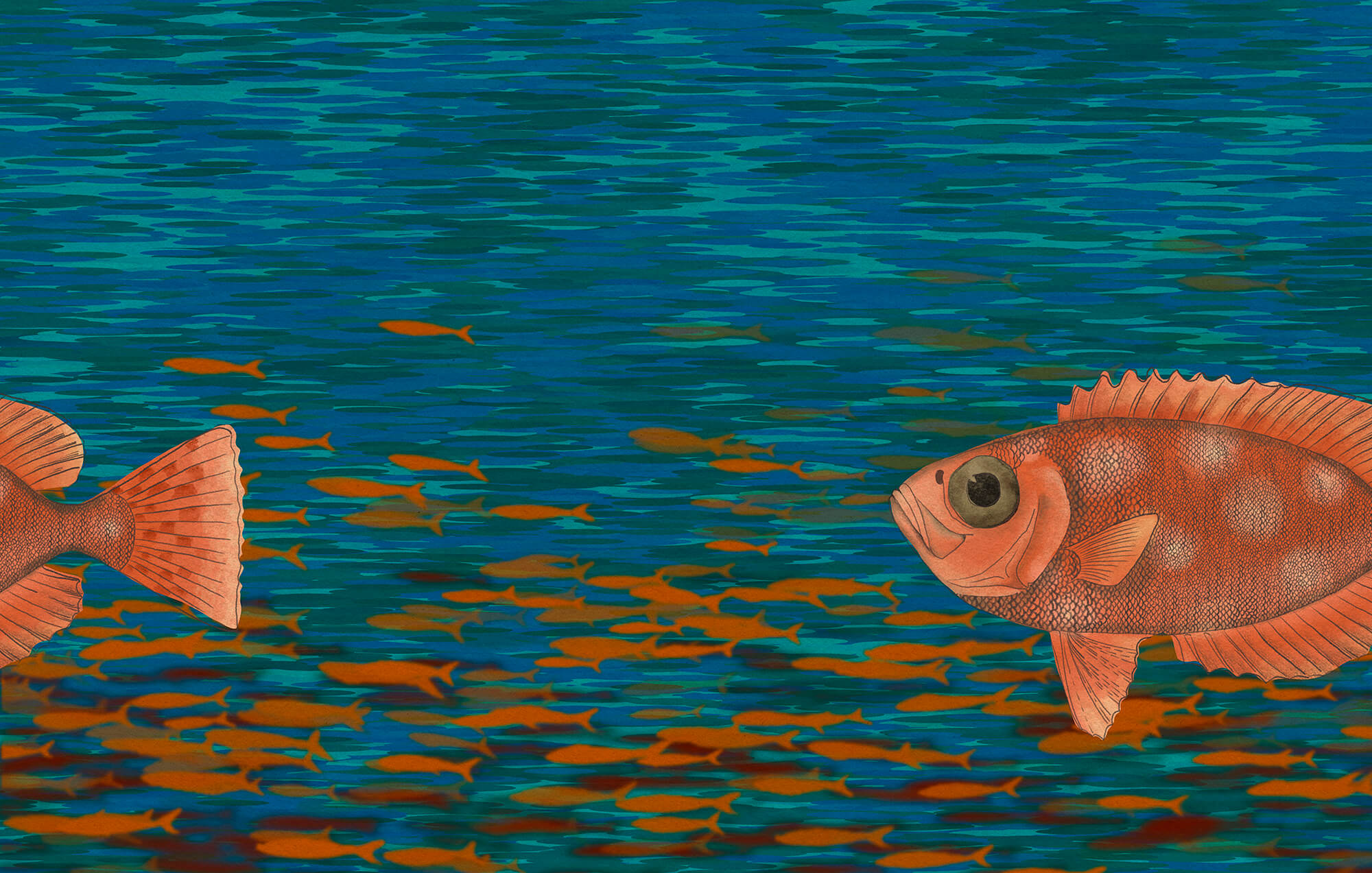 Fish swimming in the water Fish swimming in the water