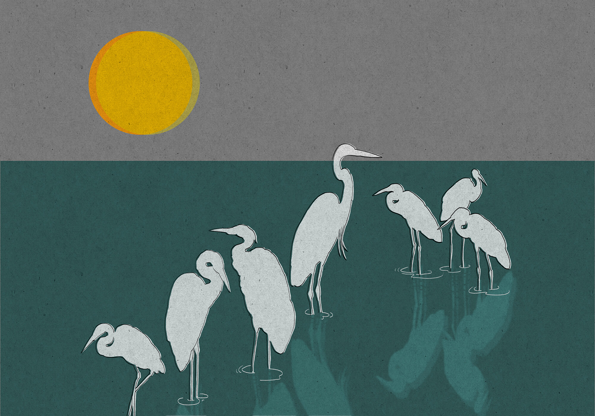 Group of birds standing in water Group of birds standing in water