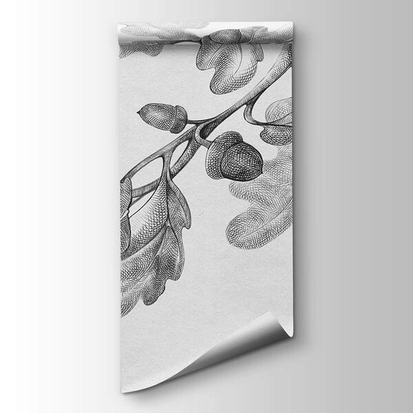 Drawing of a branch with leaves Drawing of a branch with leaves
