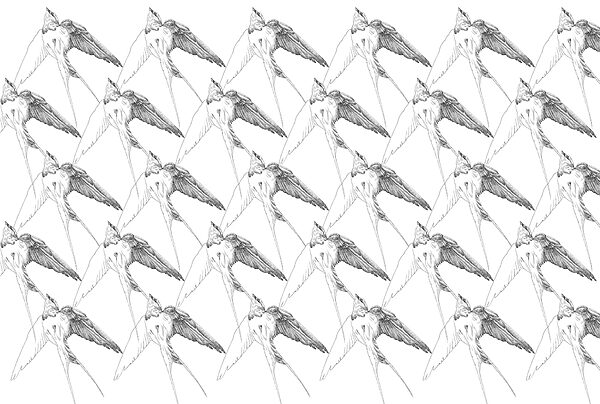 Group of birds with wings Group of birds with wings