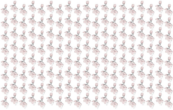 Pattern of flowers on a white background Pattern of flowers on a white background