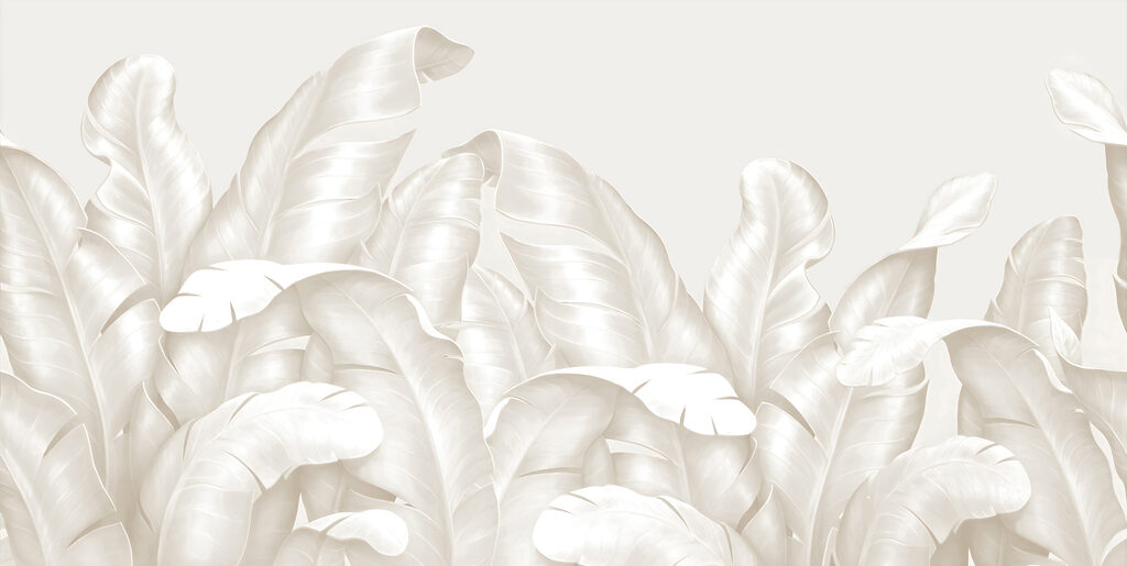 A close up of leaves