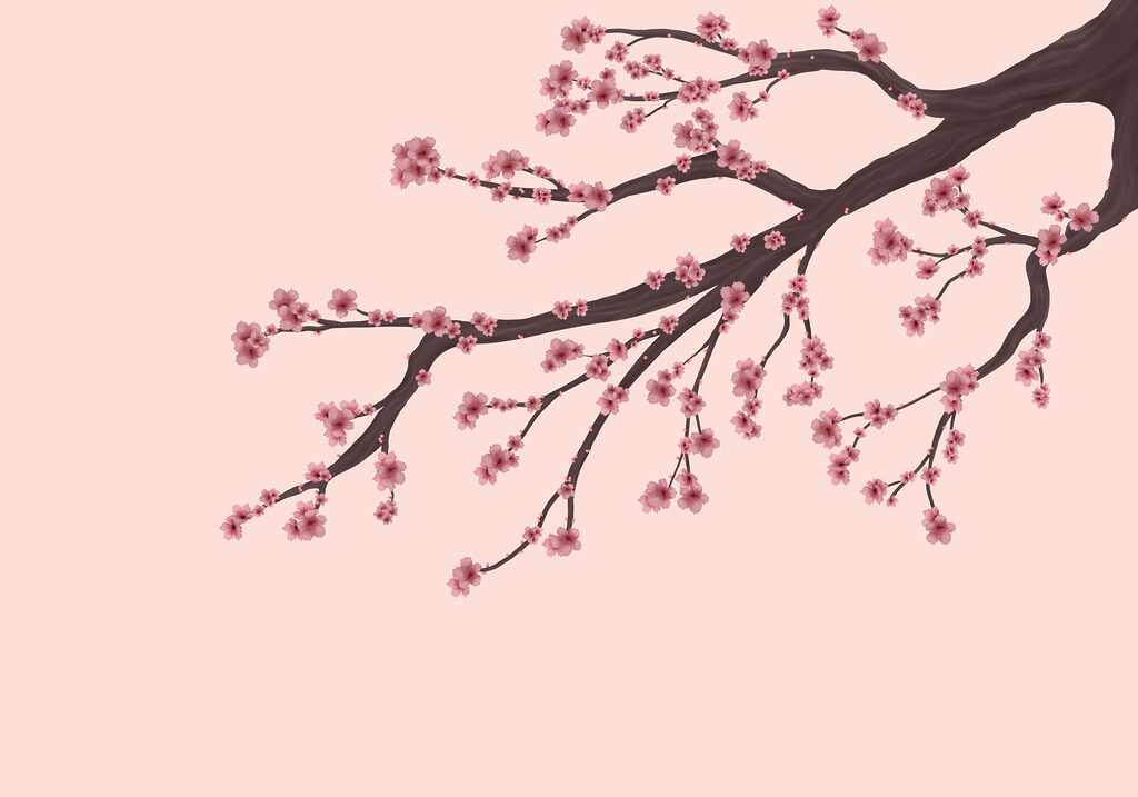 Tree branch with pink flowers Tree branch with pink flowers