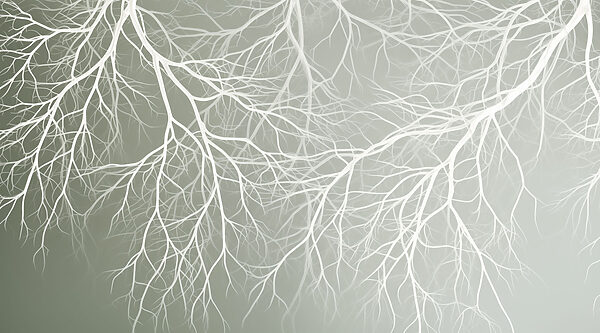White branches on a gray background