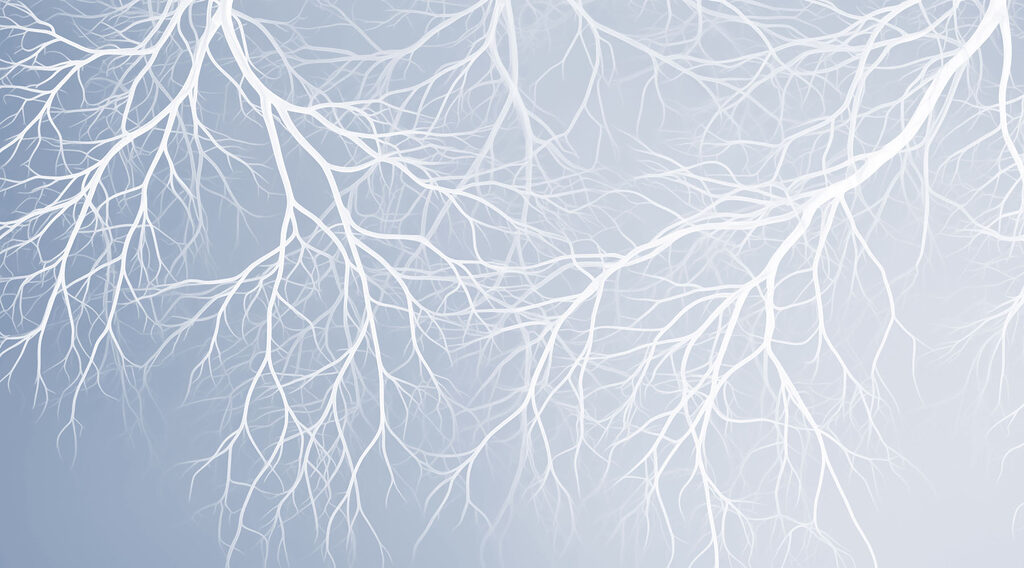 White branches on a blue background