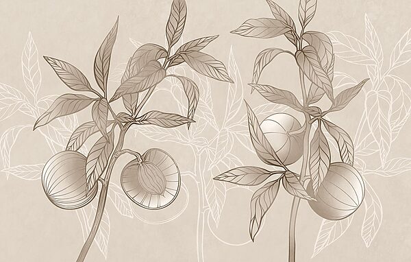 Drawing of a plant with leaves and fruit Drawing of a plant with leaves and fruit
