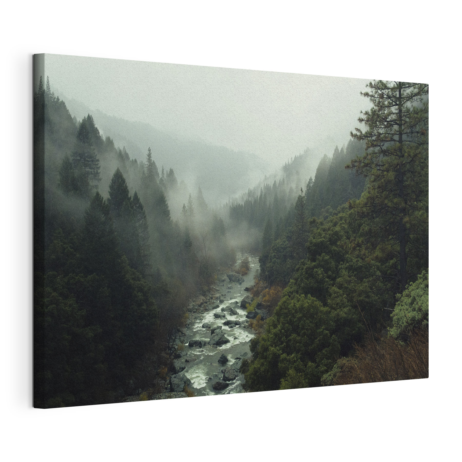 A river running through a forest A river running through a forest