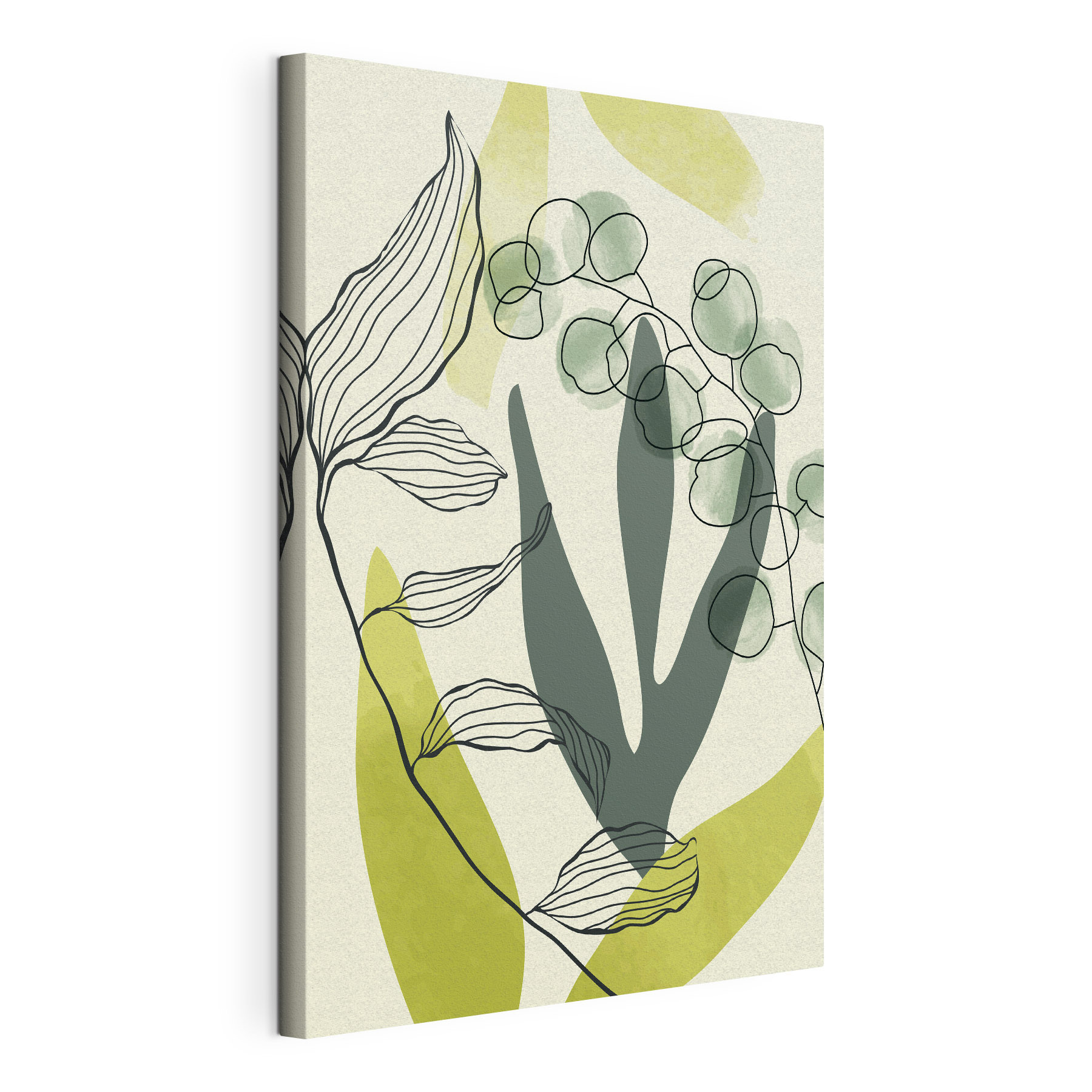 A drawing of a plant A drawing of a plant