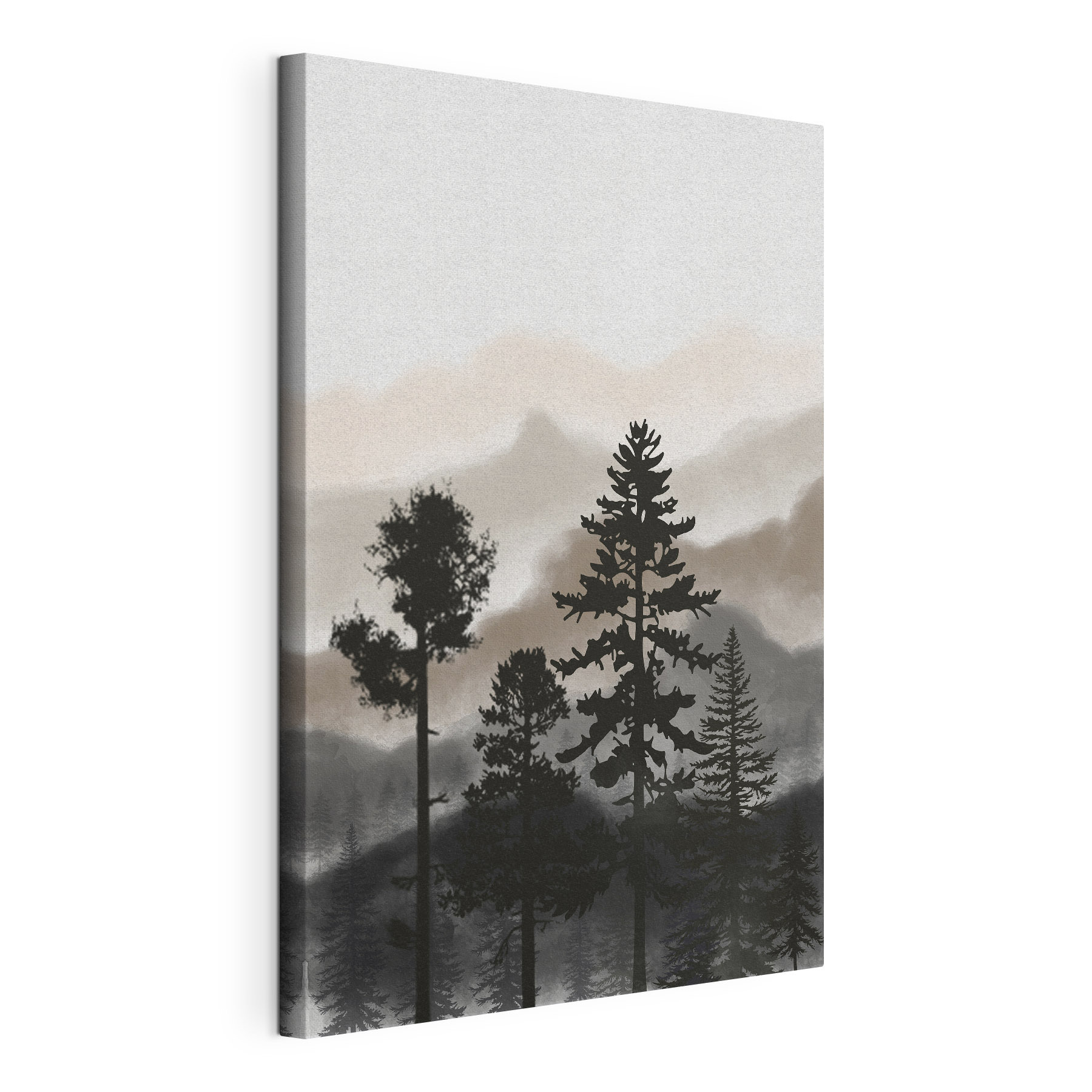 A group of trees in the fog A group of trees in the fog