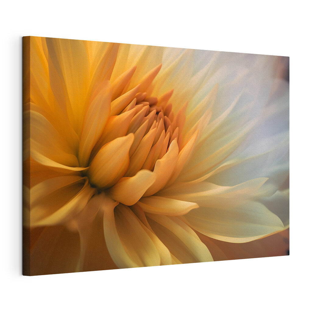 A close up of a flower
